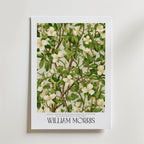Storleksguide för William Morris Ivory Blossom – välj din favoritstorlek hos Posternord
