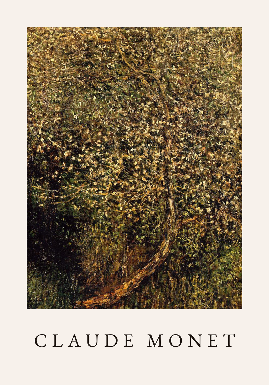 Claude Monet Apple Tree poster visad rakt fram – Posternord affisch i hög tryckkvalitet