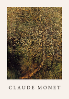 Claude Monet Apple Tree poster visad rakt fram – Posternord affisch i hög tryckkvalitet